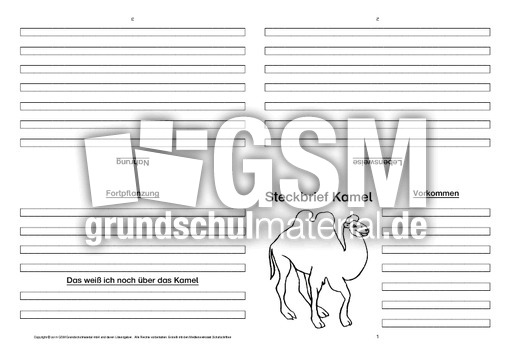 Kamel-Faltbuch-vierseitig-4.pdf